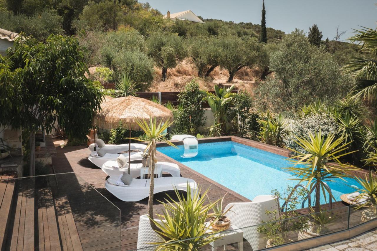 Ark Luxury & Private Villa Mouzákion Exterior foto